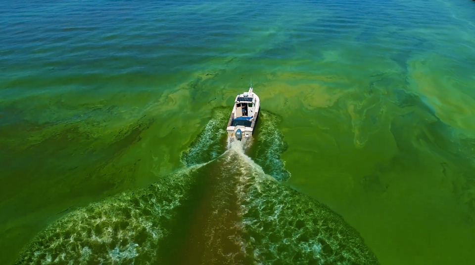 “The Erie Situation” adeptly shows us how a local community is dealing with the personal and economic impact of toxic algae blooms on Lake Erie.