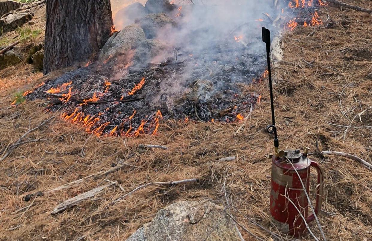 <span class="caption">Tools for a prescribed burn conducted in the Sierra Nevada in November 2019. </span> <span class="attribution"><span class="source">Susan Kocher</span>, <a class="link " href="http://creativecommons.org/licenses/by-nd/4.0/" rel="nofollow noopener" target="_blank" data-ylk="slk:CC BY-ND;elm:context_link;itc:0;sec:content-canvas">CC BY-ND</a></span>