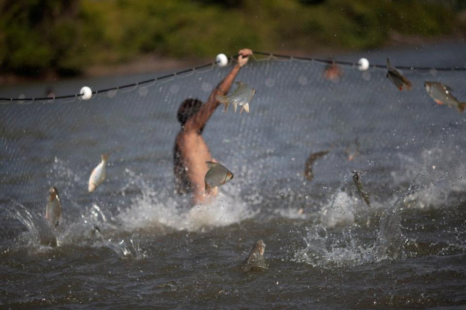 A Yawalapiti man fishes in the Tuatuari river (Reuters)