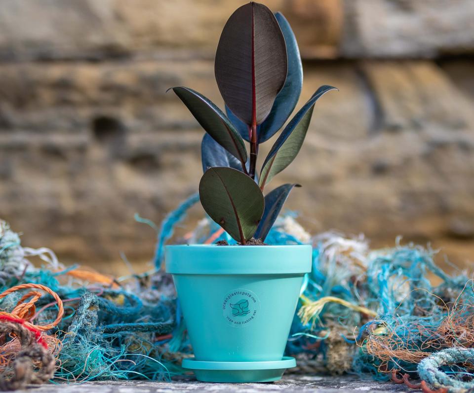 Winner: Ocean Plastic Pots won the first Sustainable Garden Product of the Year award today for its smart, durable design. It was praised by experts for serving as an important reminder of the need to look after our oceans