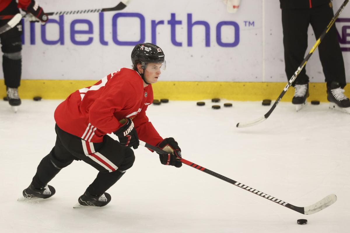 Chicago Blackhawks - We have recalled forward Lukas Reichel from Rockford  👀