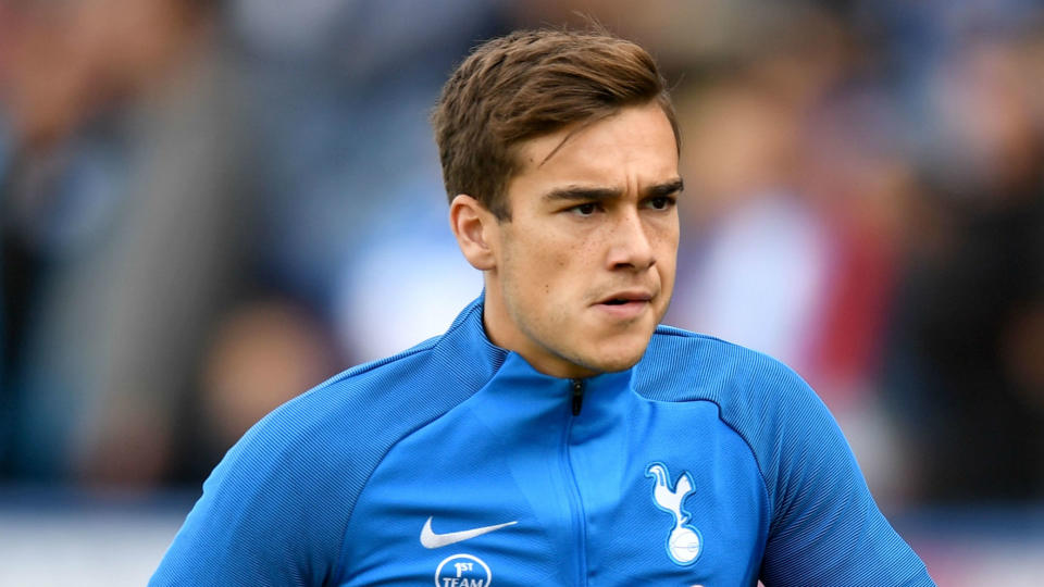 Harry Winks has been called up to the England squad