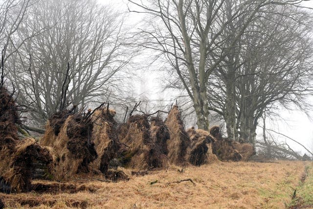 Royal visit to Haddo Country Park