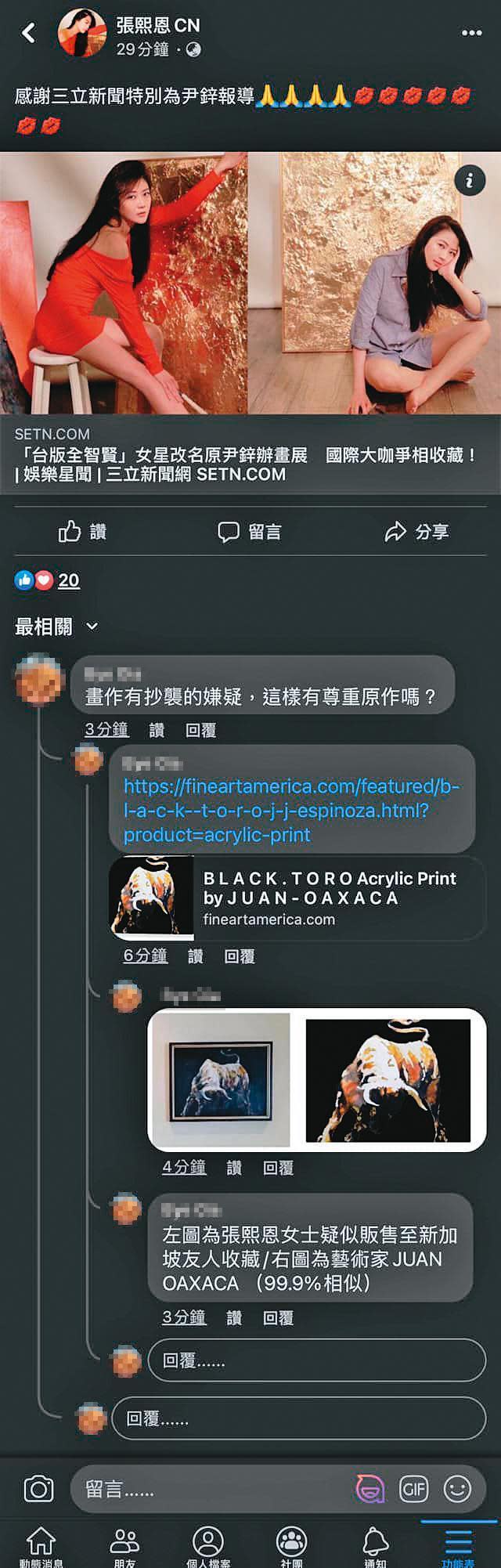 網友曾在張熙恩臉書提醒畫作涉嫌抄襲，後張將留言隱藏。（翻攝自張熙恩CN臉書）