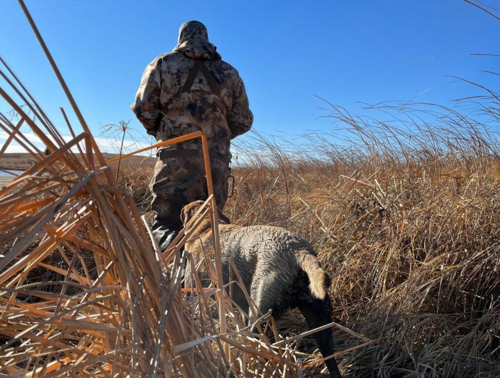 A South Dakota hunter walks the tall grass with his dog.