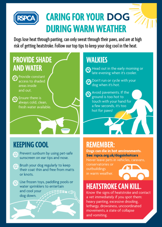 The RSPCA has warned dog-owners of the dangers animals face during a heatwave (RSPCA)