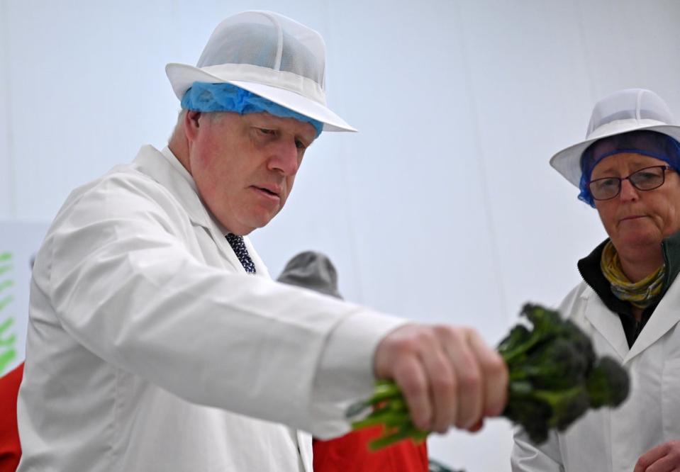 Boris Johnson during the Cornwall trip (Justin Tallis/PA) (PA Wire)