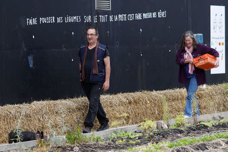 Post office employees work on a 900 square meters farm garden on the rooftop of their postal sorting center, as part of a project by Facteur Graine (Seed Postman) association to transform a city rooftop as a vegetable garden to grow fruits, vegetables, aromatic and medicinal plants, with also chickens and bees in Paris, France, September 22, 2017. The slogan reads "to grow vegetables on the rooftop of the post office is to grow dreams." Picture taken September 22, 2017. REUTERS/Charles Platiau