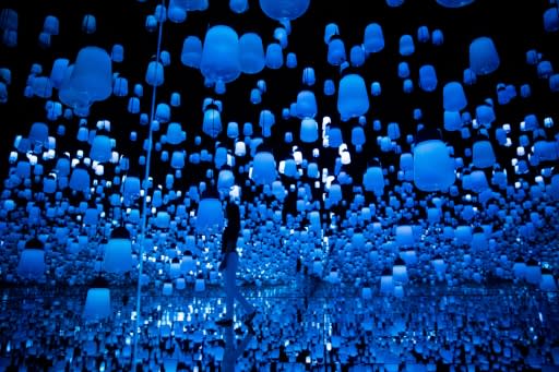 The teamLab collective bring together expertise in speciality fields, including engineering, robotics and architecture, with hands-on manual labour to produce art