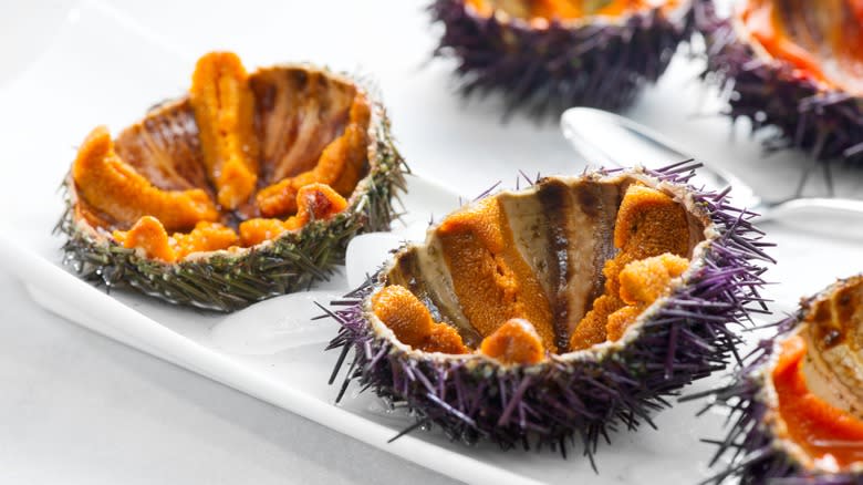 Prepared sea urchin