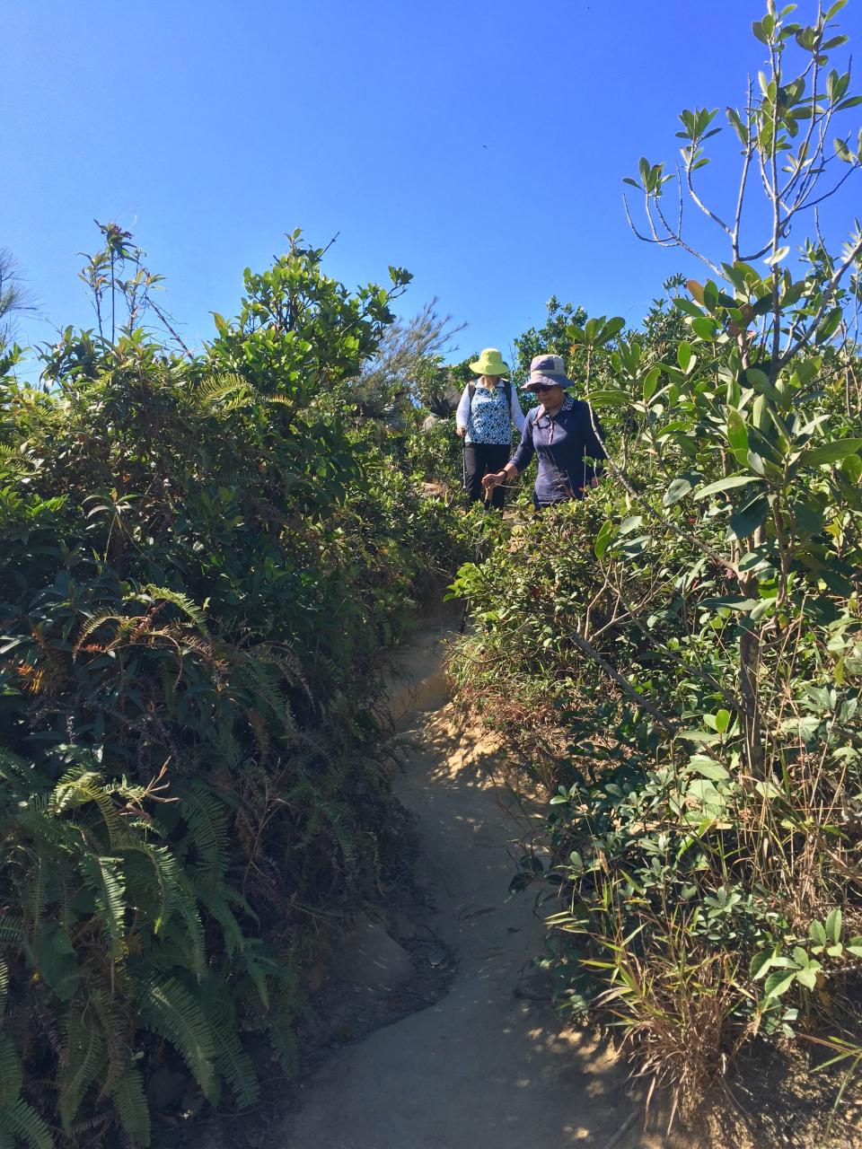 行山路線｜新手入門龍脊路線！CNN旅遊網推薦零難度睇無敵大海景