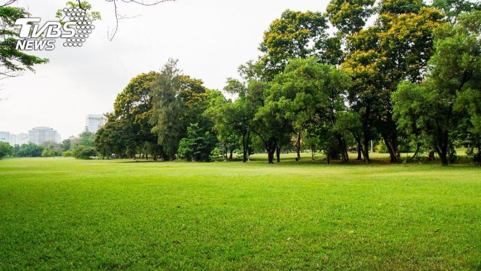 公園底下竟藏著一座大公墓。（示意圖／shutterstock達志影像）