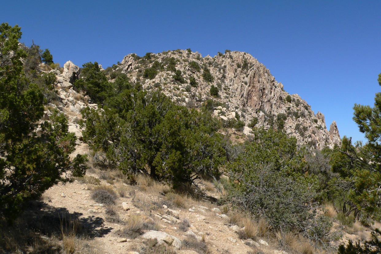 A steep hillside set with trees struggling to survive and a craggy peak in the background.