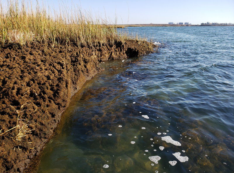 Erosion of wetlands in Jamaica Bay of New York City.