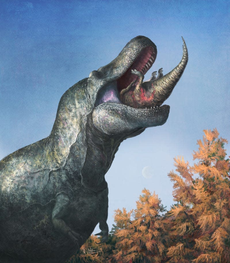 An illustration of a tyrannosaur swallowing a juvenile Edmontosaurus.