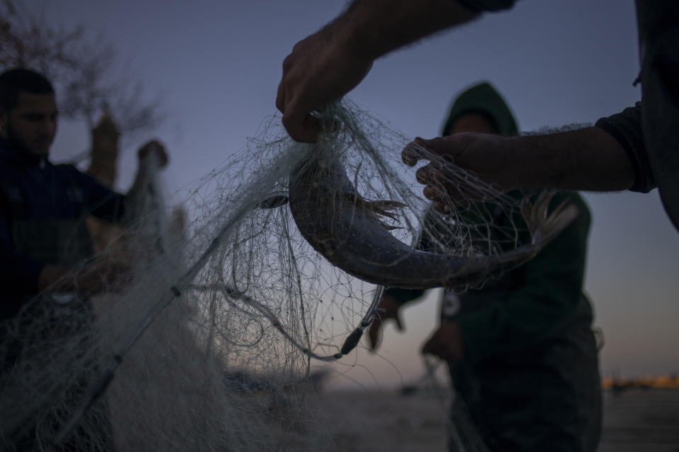 Fishermen remove fish from nets after returning from a fishing trip on the Mediterranean Sea, in the Israeli Arab village of Jisr al-Zarqa, Israel, in the early morning of Thursday, Feb. 25, 2021. After weathering a year of the coronavirus pandemic, an oil spill in the Mediterranean whose culprits remain at large delivered another blow for the fishermen of Jisr al-Zarqa. (AP Photo/Ariel Schalit)