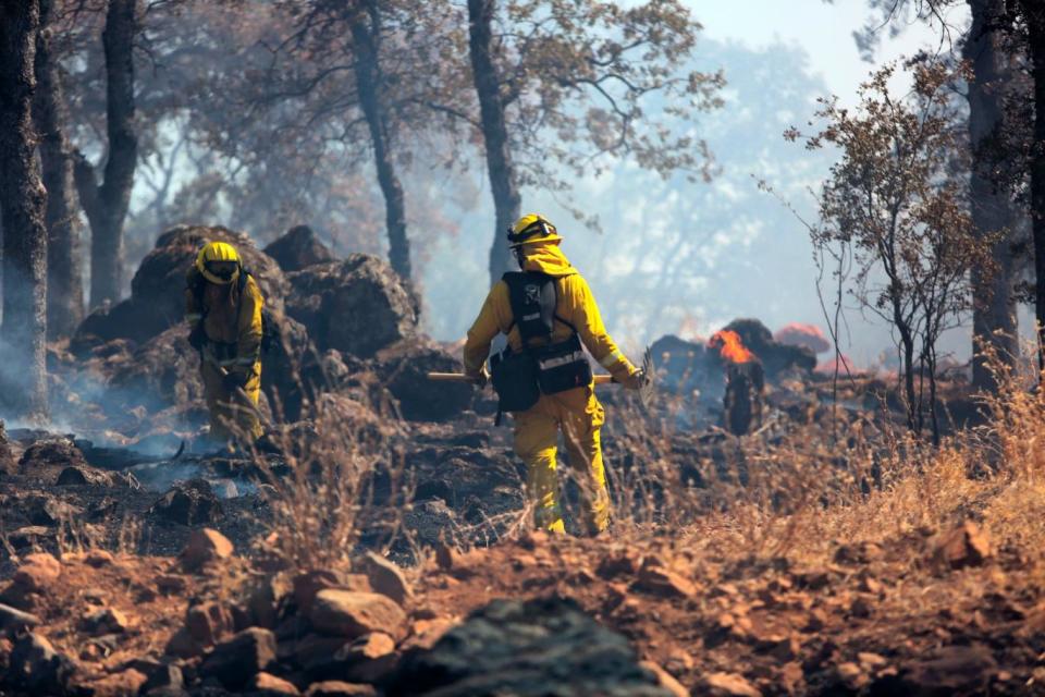 Firefighters help mop up the oak woodland that burned in a vegetation fire (AP)