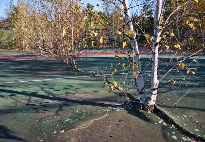 Trees have sprouted and grown through the court where tennis nets once stood. (Photo: Walter Arnold/Flickr)