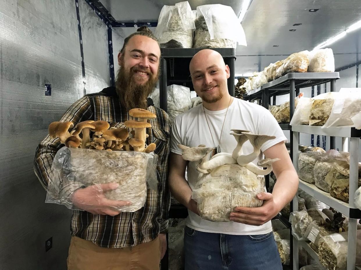 Nicholas Kempel (left) started growing mushrooms in his grandfather's garage. Now he and his friend Ansel Zmuda-Soltis (right) work out of a facility in Elmira. (Jasmine Mangalaseril/CBC - image credit)