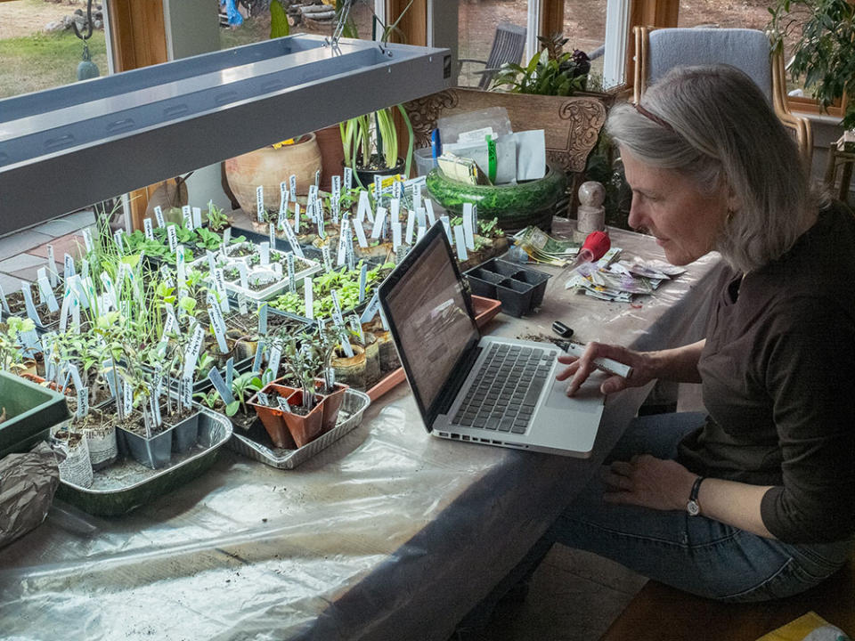 A woman cataloguing her seeds