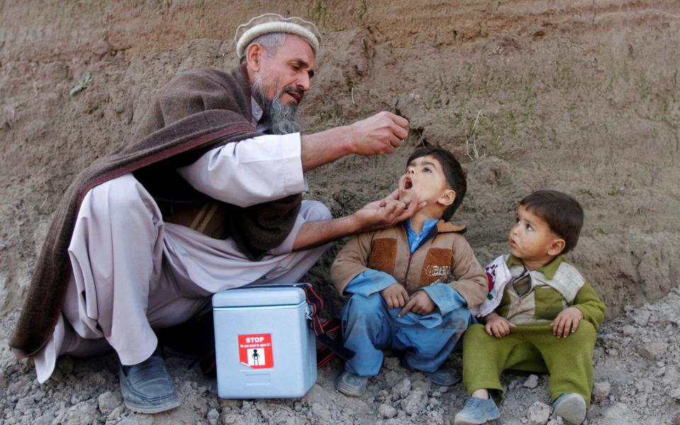 A child receives polio vaccination on the outskirts of Jalalabad - Parwiz Parwiz 