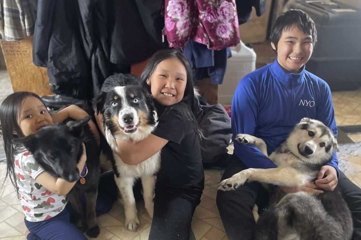 Nanuq, in the middle with Brooklyn Faith, after the 1-year-old Australian shepherd was returned to Gambell, Alaska