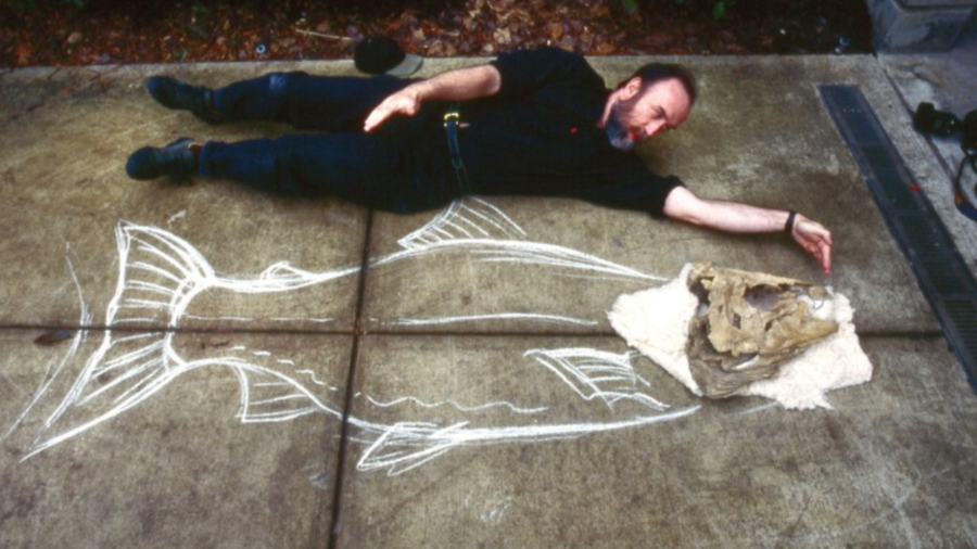 OR salmon: University of Oregon researchers find giant salmon had fangs