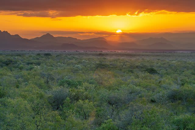 <p>Vinicio Herrera</p> Sunset over the Drakensberg Mountains in South Africa’s Pridelands Conservancy.