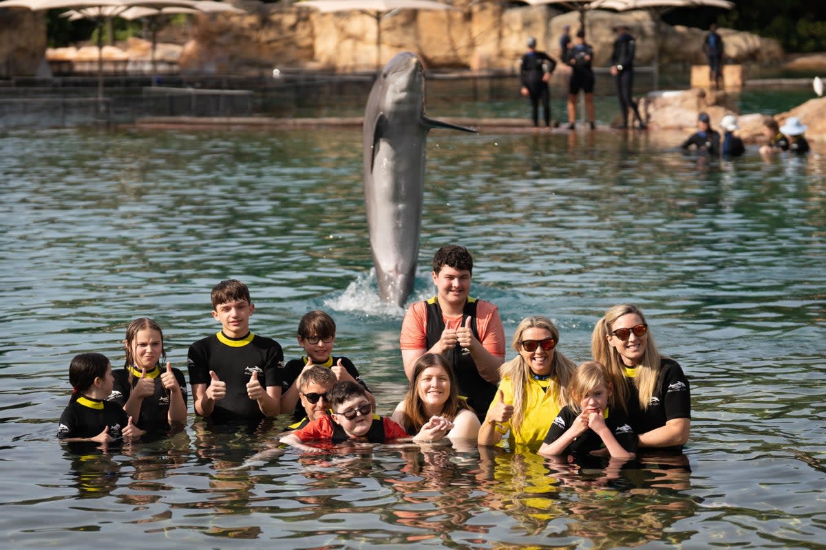 A file picture of children swim with dolphins during the a visit to Discovery Cove in Orlando, Florida (James Manning/PA) (PA Wire)