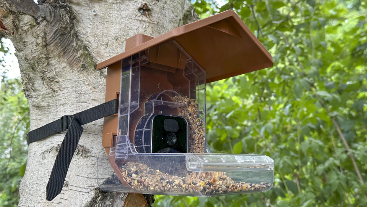  Wasserstein Bird Feeder Camera Case  strapped to a tree 