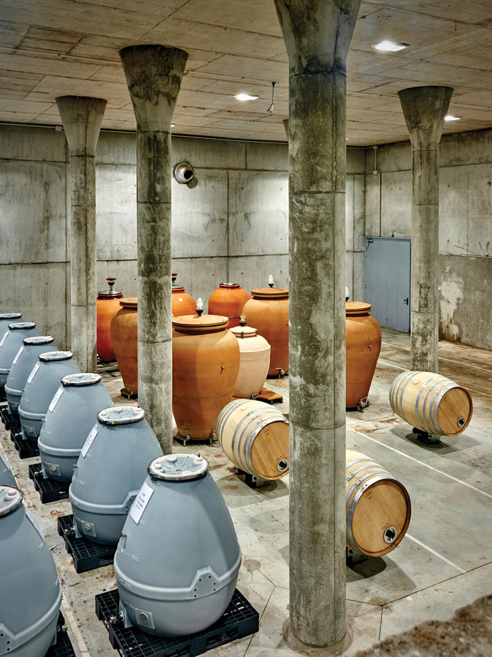 Vivaltus uses oak barrels, terra-cotta amphorae, and stainless-steel vats to get the desired flavors from its grapes. 