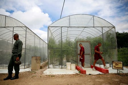 Soldiers walk in front of the greenhouses at the urban garden in the academy of the Venezuelan National Guard in Caracas, Venezuela June 29, 2016. Picture taken June 29, 2016. REUTERS/Carlos Garcia Rawlins