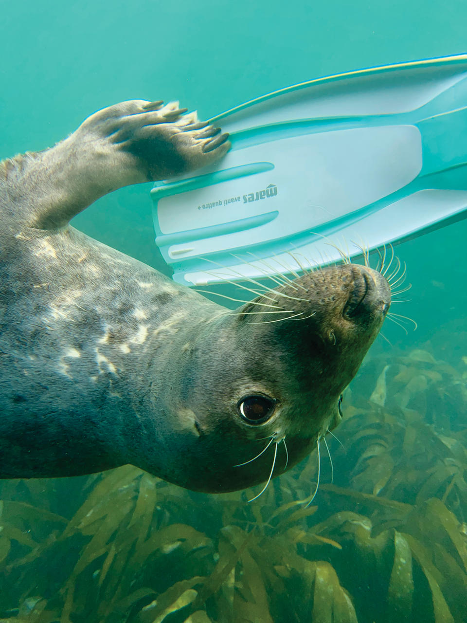 Underwater photography