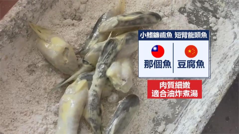 楊丞琳沒吃過的「那個魚」　屏東東港就吃得到！