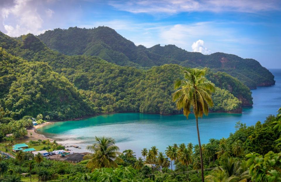 Fringed by palm groves, the coves of St Vincent offer isolated stretches of black and white sand beach (Getty Images/iStockphoto)