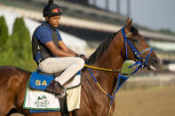 Skippylongstocking stands on the track before a training run ahead of the 154th running of the Belmont Stakes horse race, Wednesday, June 8, 2022, in Elmont, N.Y. (AP Photo/John Minchillo)