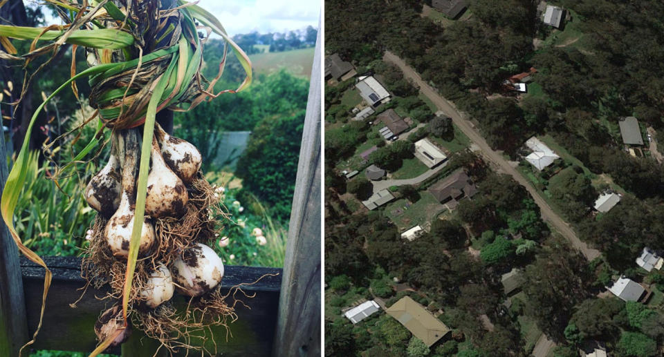 A farmer's entire garlic crop was stolen from her farm in Cockatoo, south eastern Victoria (pictured is nearby countryside)