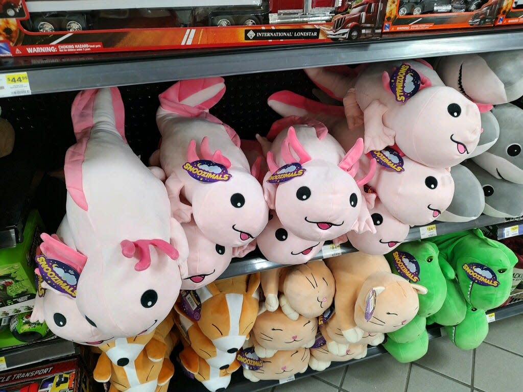 A row of oddly shaped, pink plush toys might seem otherworldly, but the stuffed creatures are actually made in the likeness of the real-life axolotl, a paedomorphic salamander that remains aquatic.