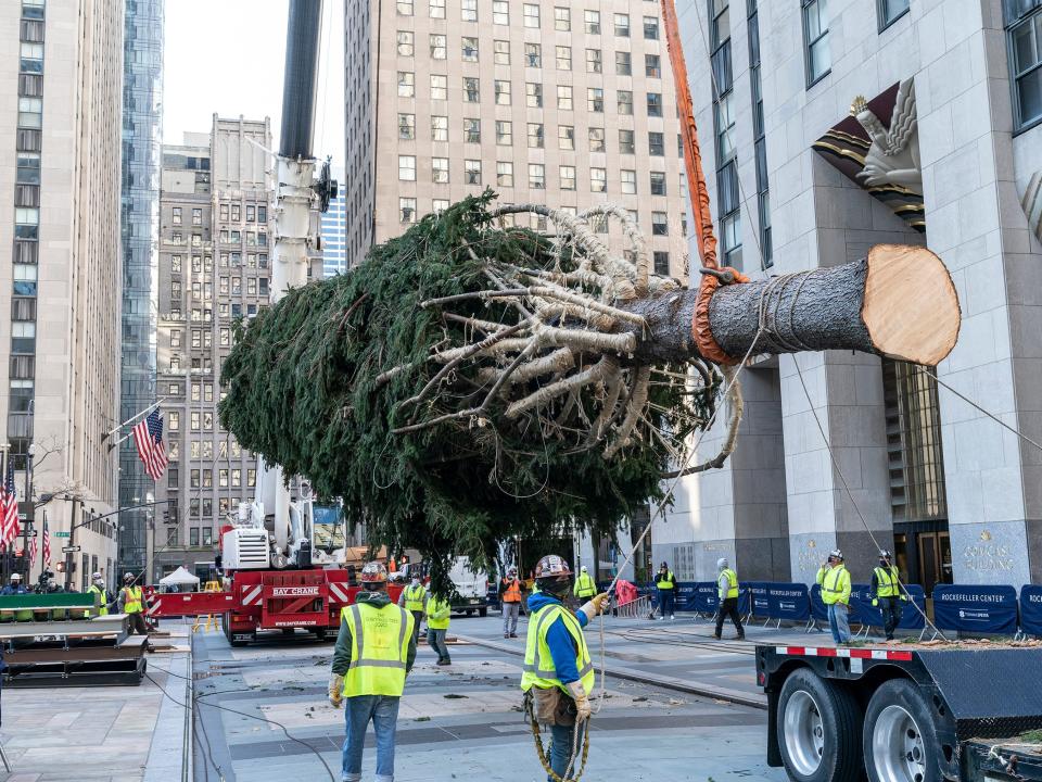 Rockefeller tree