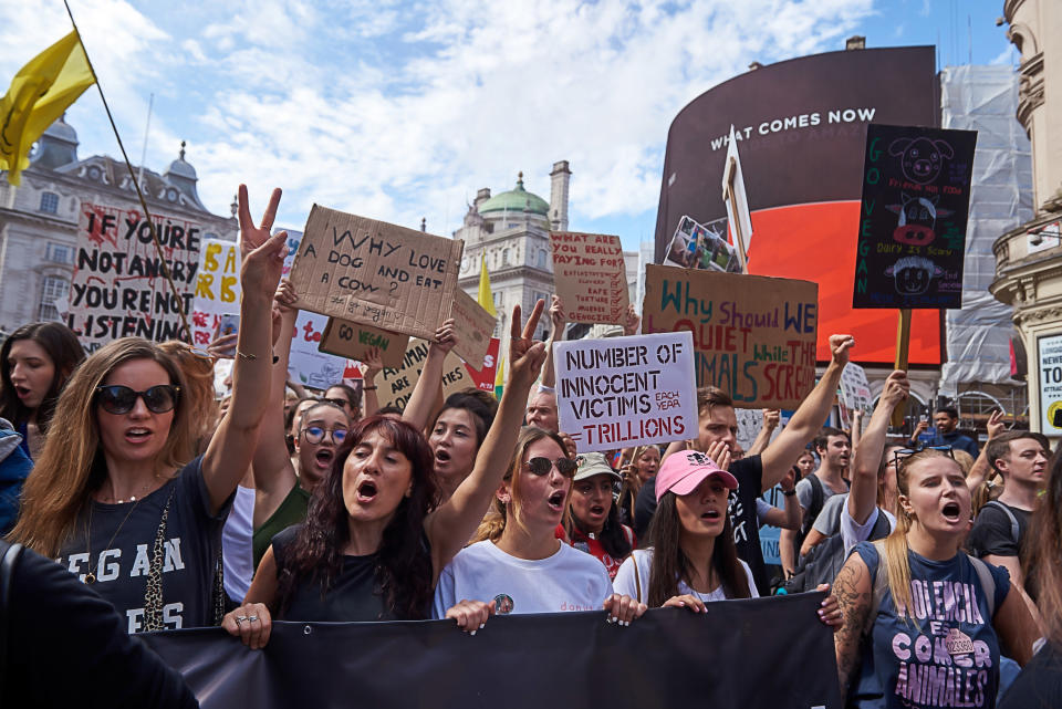 Animal rights protester march from Anchillies corner in Hyde Park to Trafalgar Square in London on Saturday Aug 17th, 2019 (Photo by Karyn Louise/NurPhoto via Getty Images)