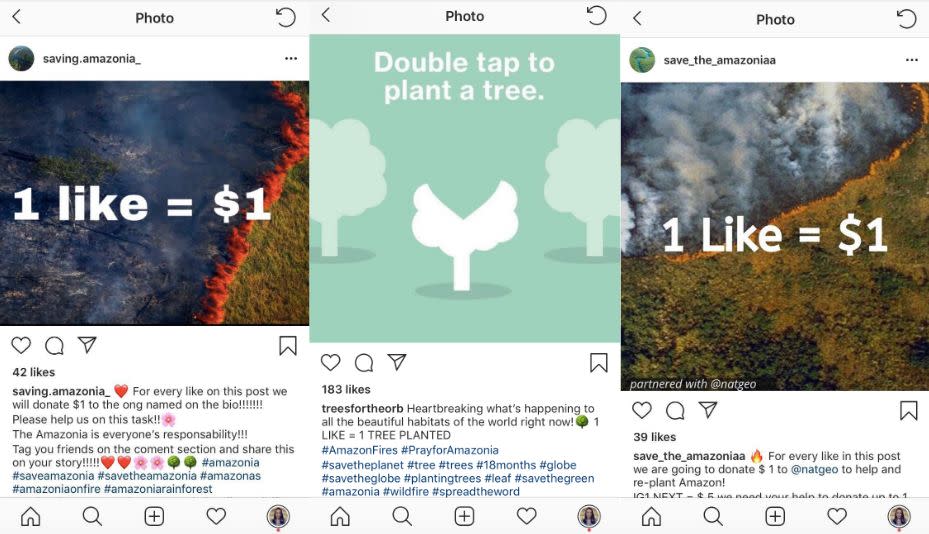 Instagram scammer accounts claim they will donate money and plant trees in exchange for "likes." (Photo: Instagram)