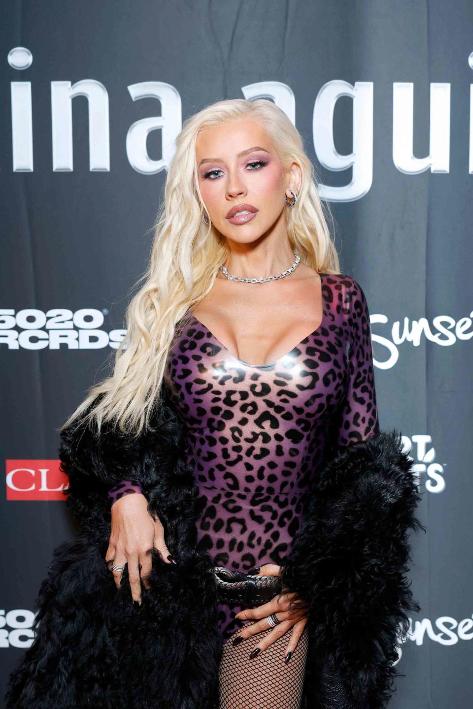 <p>Stefanie Keenan/Getty Images for Christina Aguilera</p>