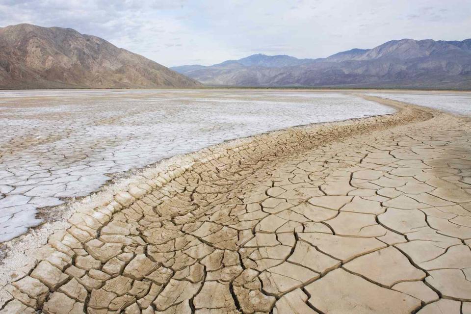 <p>Getty Images</p> Climate change is expected to increase the spread of the fungus that causes Valley Fever, as it thrives in dry soil.