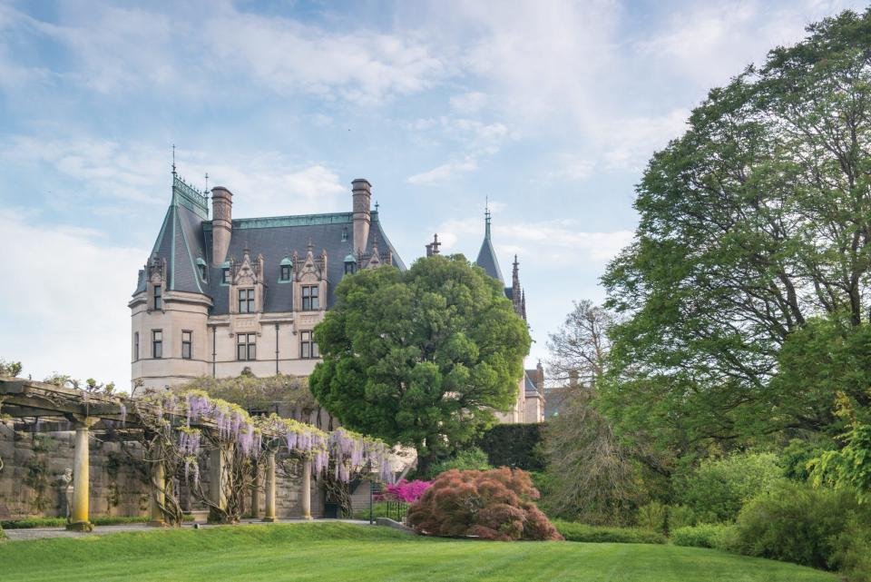 Biltmore is popular for its gardens, including its displays of wisteria and azaleas.