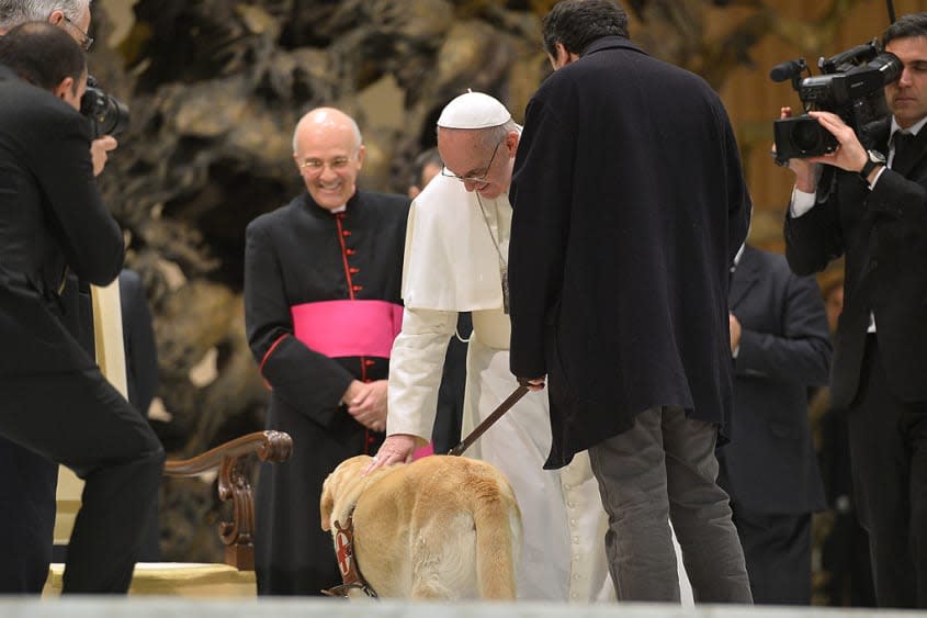 Pope Francis with a dog