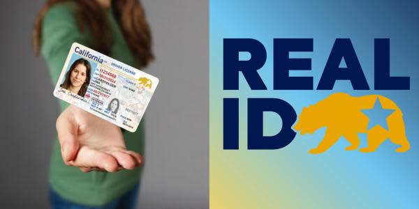 Californianos tendrán como límite el año 2025 para tramitar su REAL ID