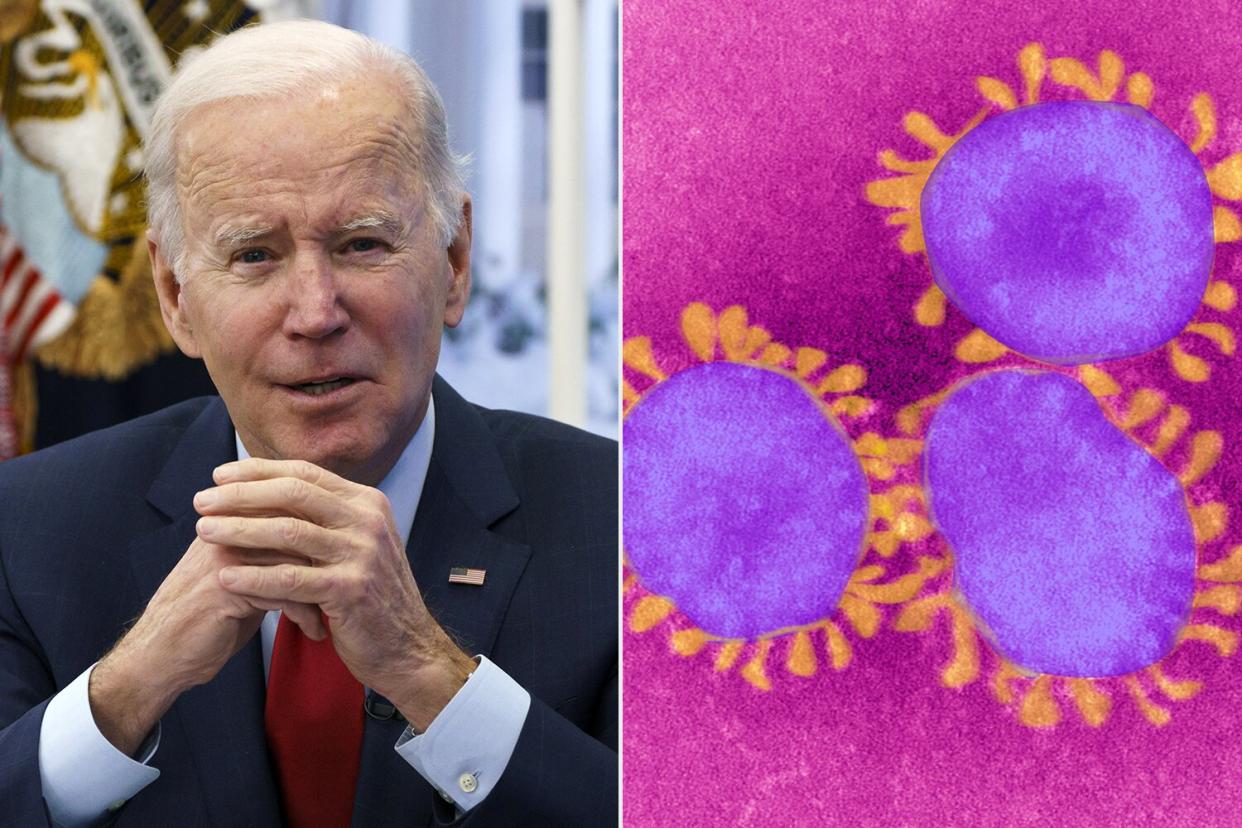 Joe Biden, Corona Virus