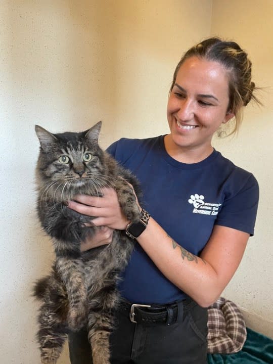 Butters the cat, missing since 2011, is held by a Riverside County Animal Services Supervisor Alison Chavez prior to his reunion with his owners on Oct. 7, 2023.