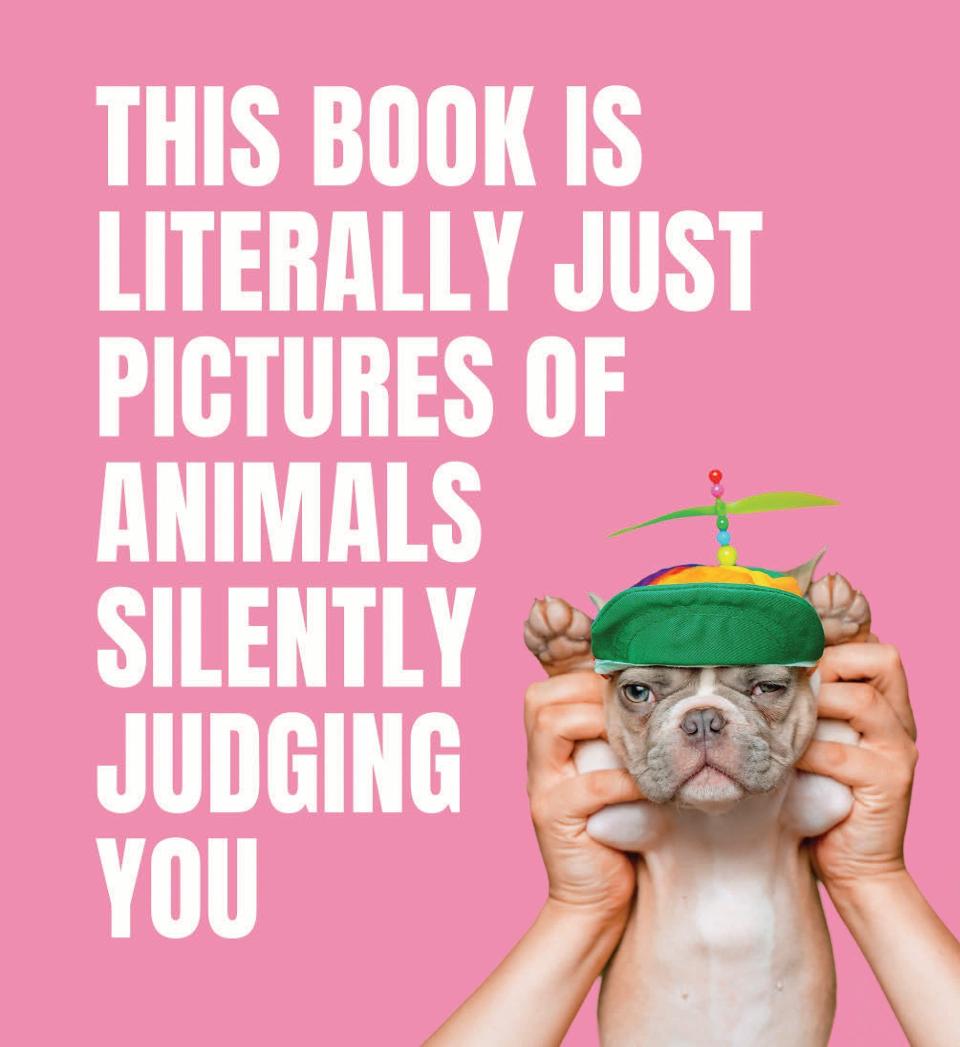 11) <i>This Book Is Literally Just Pictures of Animals Silently Judging You</i>