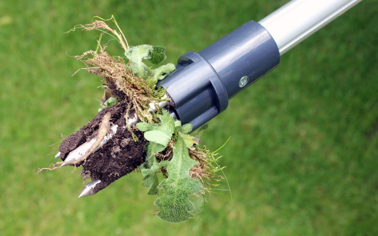 The Burgon & Ball Wonder weed puller is on this year's shortlist